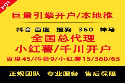 百度优化推广案例剖析：某电商平台的成功之路